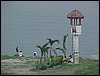 manila bay2.JPG